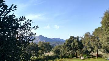 A grassy field with a mountain in the background, trees, and a few lounge chairs.
