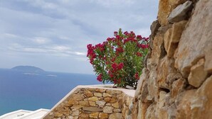 Un mur de pierres avec une plante en pot et un grand pot.