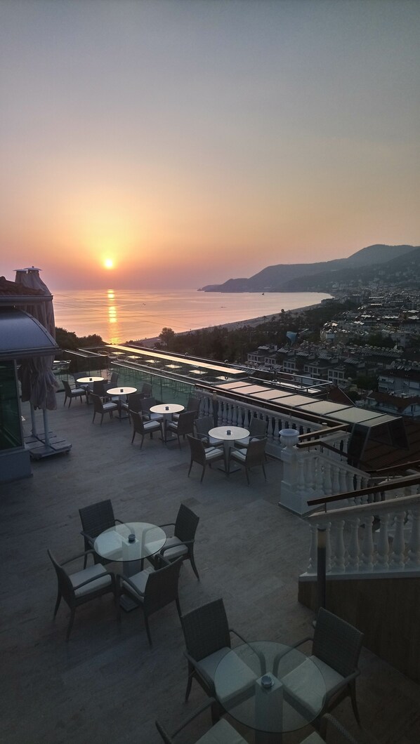 2 bares o lounges, bar junto a la alberca, bar en la playa 