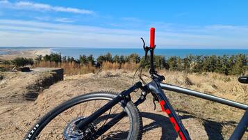 Una bicicleta con manillar rojo y estructura negra, ubicada en un sendero de tierra con vista al océano y árboles al fondo.