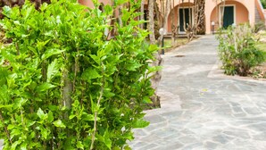 Property grounds - CorfuGrace (Corfu)