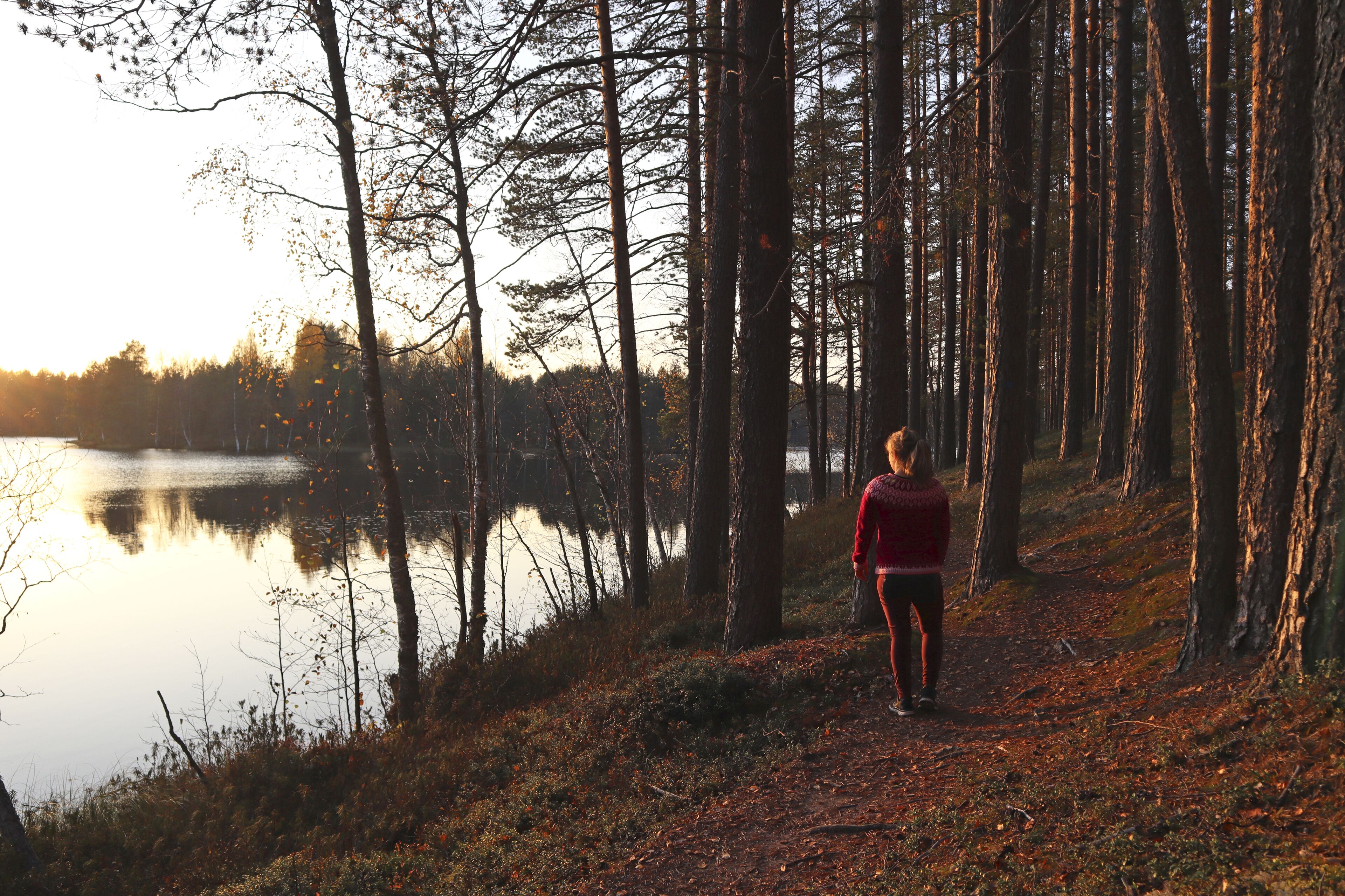 A person walking along a forested path beside a calm lake during sunset.