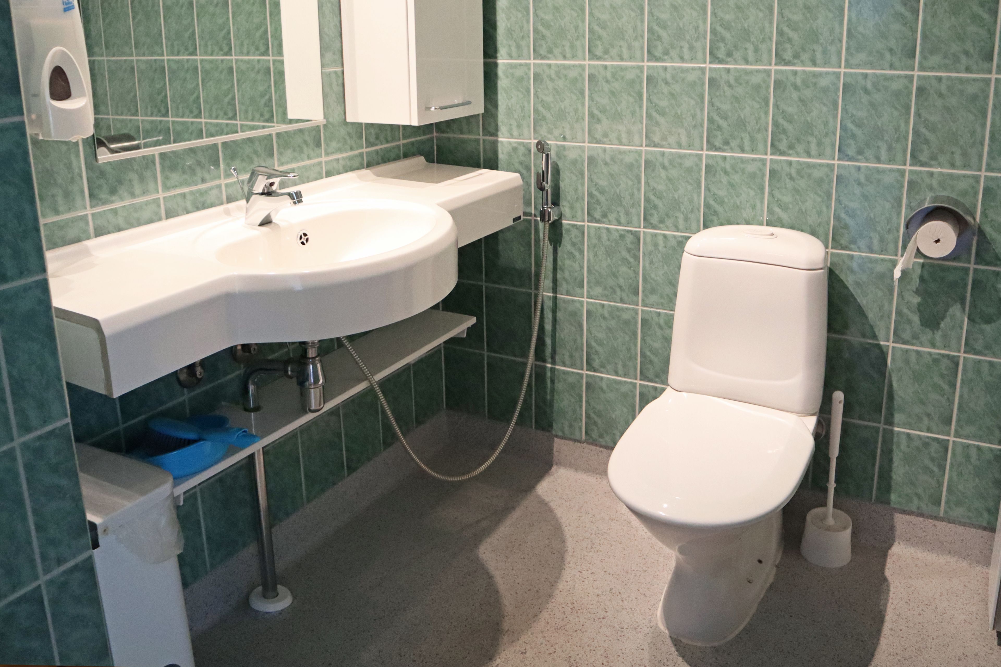 Un bany amb un lavabo blanc, un vàter i una dutxa.