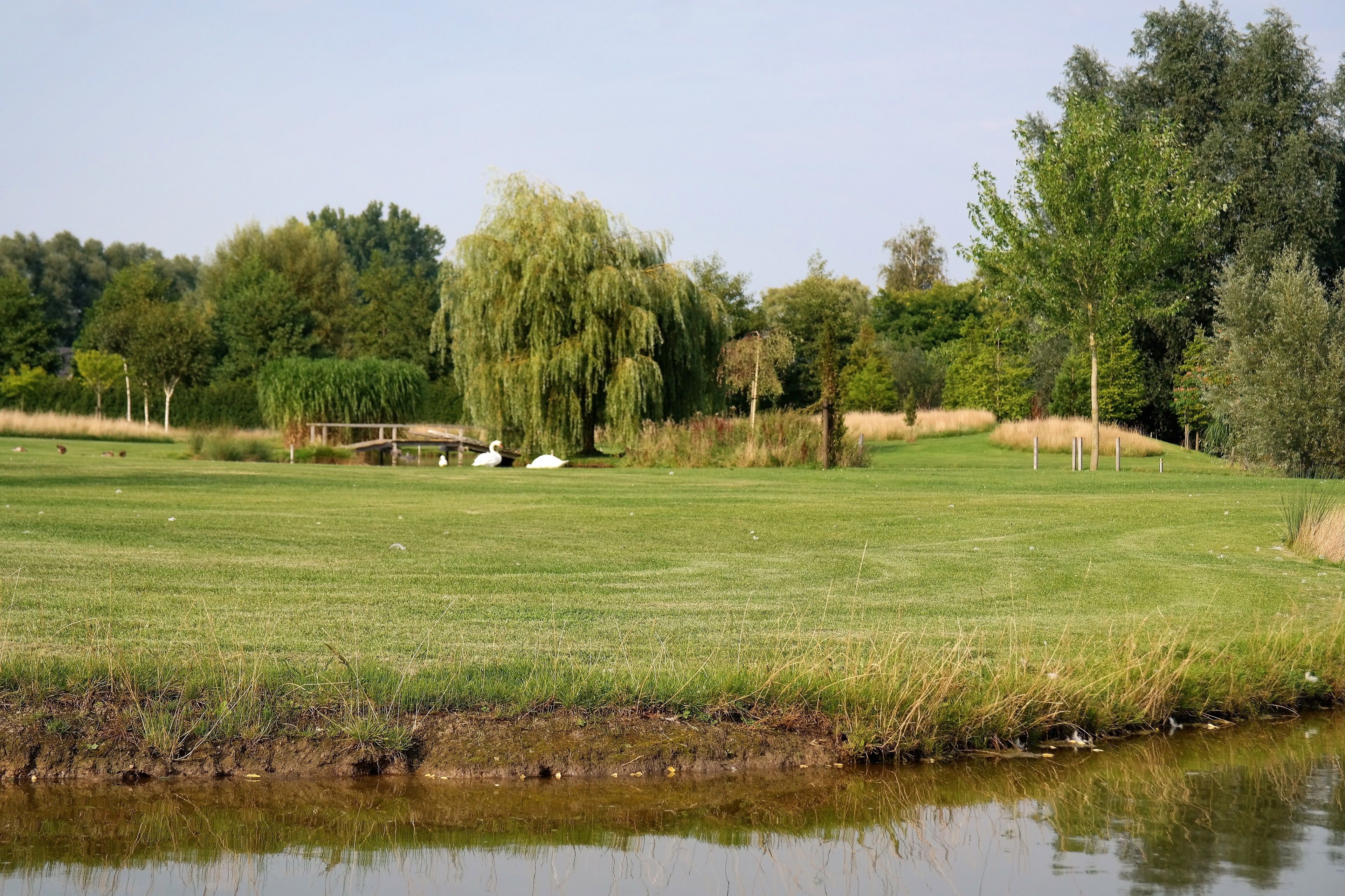 Un campo da golf con uno stagno, alberi e un ponte.