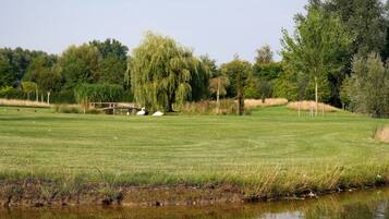Un campo da golf con uno stagno, alberi e un ponte.