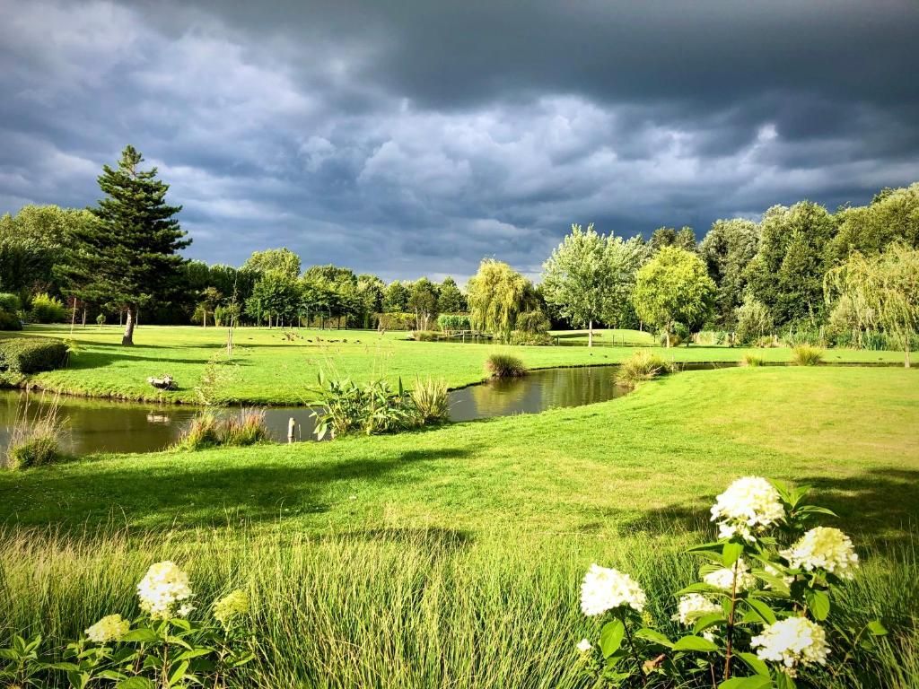A serene landscape with a pond, lush greenery, and a variety of trees.