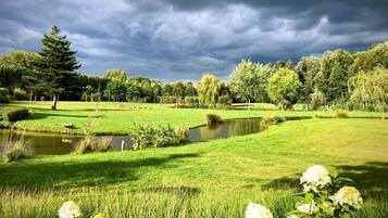 A serene landscape with a pond, lush greenery, and a variety of trees.