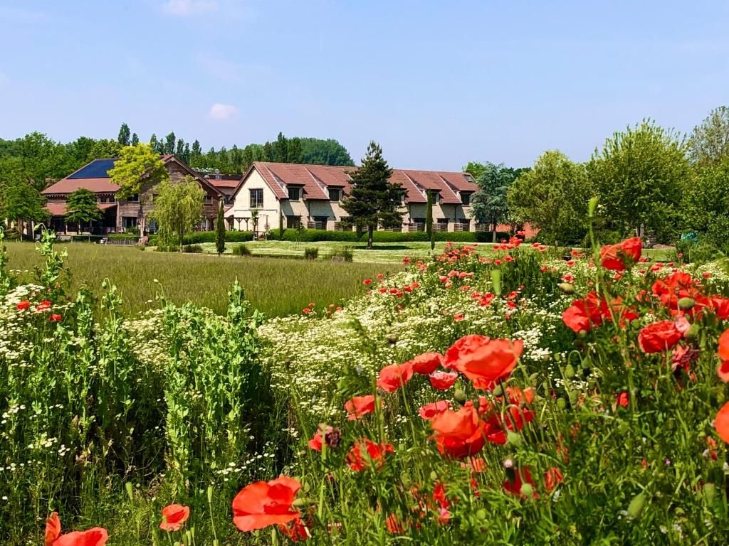 Ein Hotel mit mehreren Gebäuden, einem gepflegten Garten mit roten Klatschmohn und blauem Himmel.