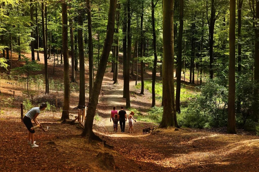 A forested area with a dirt path, people walking, and a dog.
