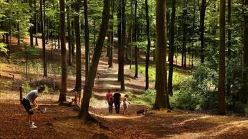 A forested area with a dirt path, people walking, and a dog.
