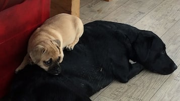 Um sofá vermelho e uma mesa de madeira num quarto com piso de madeira.