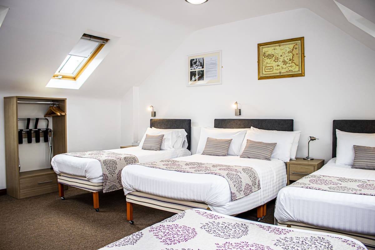 A bedroom with two beds, a skylight, a wardrobe, and a map on the wall.