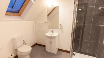 Un baño moderno con tragaluz, inodoro, lavabo, espejo y zona de ducha.