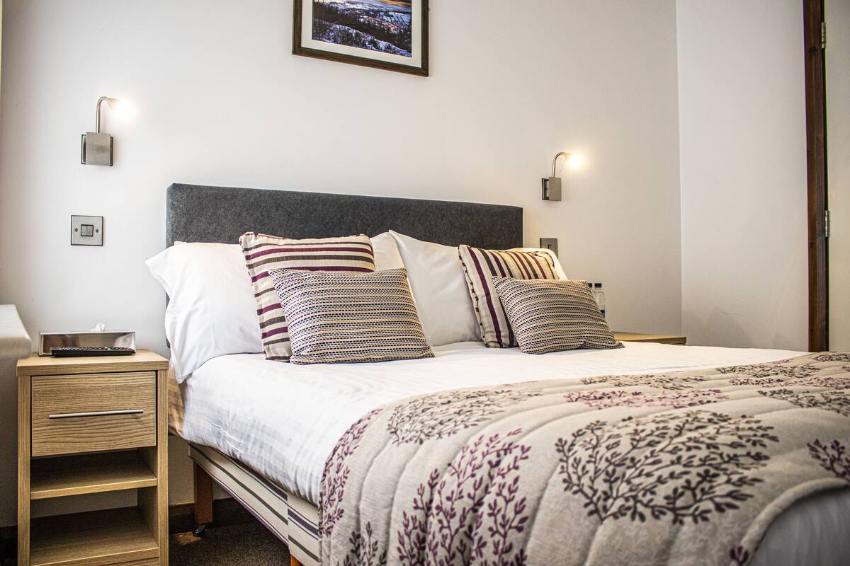 A neatly made bed with patterned pillows, a bedside table with a lamp, and a framed picture on the wall.