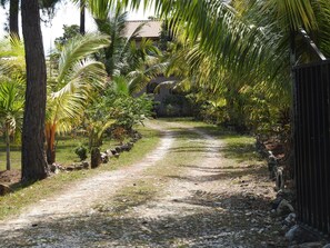 Property grounds - Becks Bed and Breakfast (Crooked Tree)