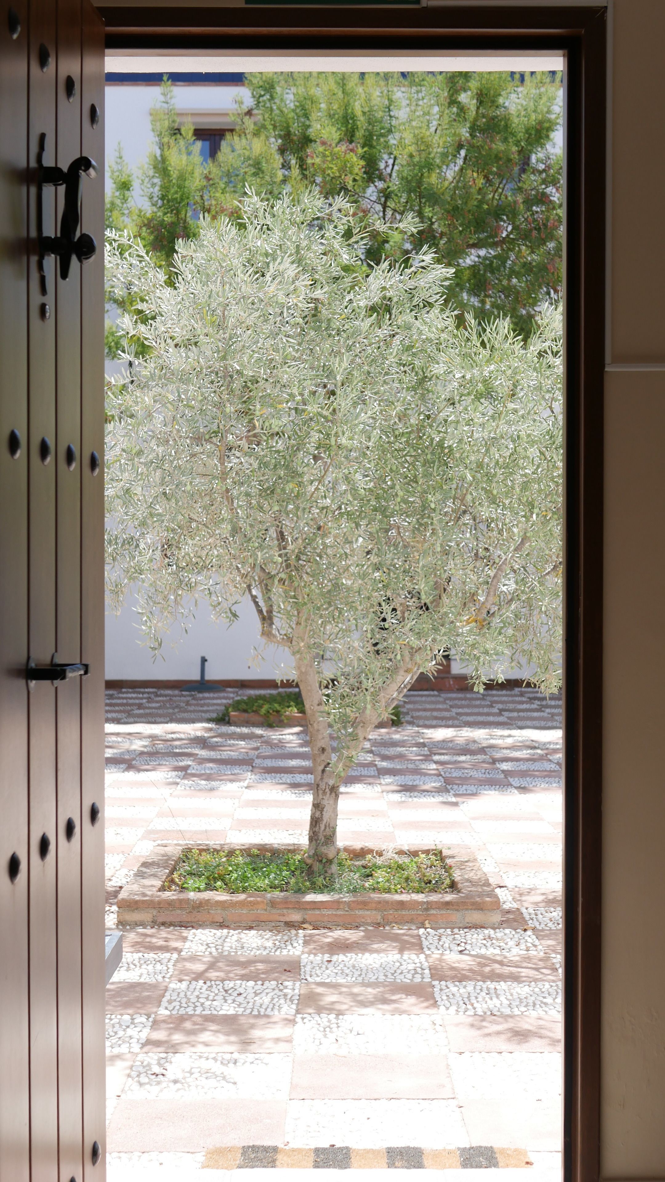 Habitación doble superior, bañera de hidromasaje, en la zona del patio | Vistas desde la habitación