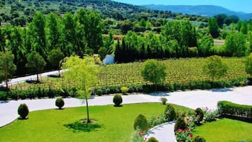 Standard Double Room, Balcony, Garden View | Balcony
