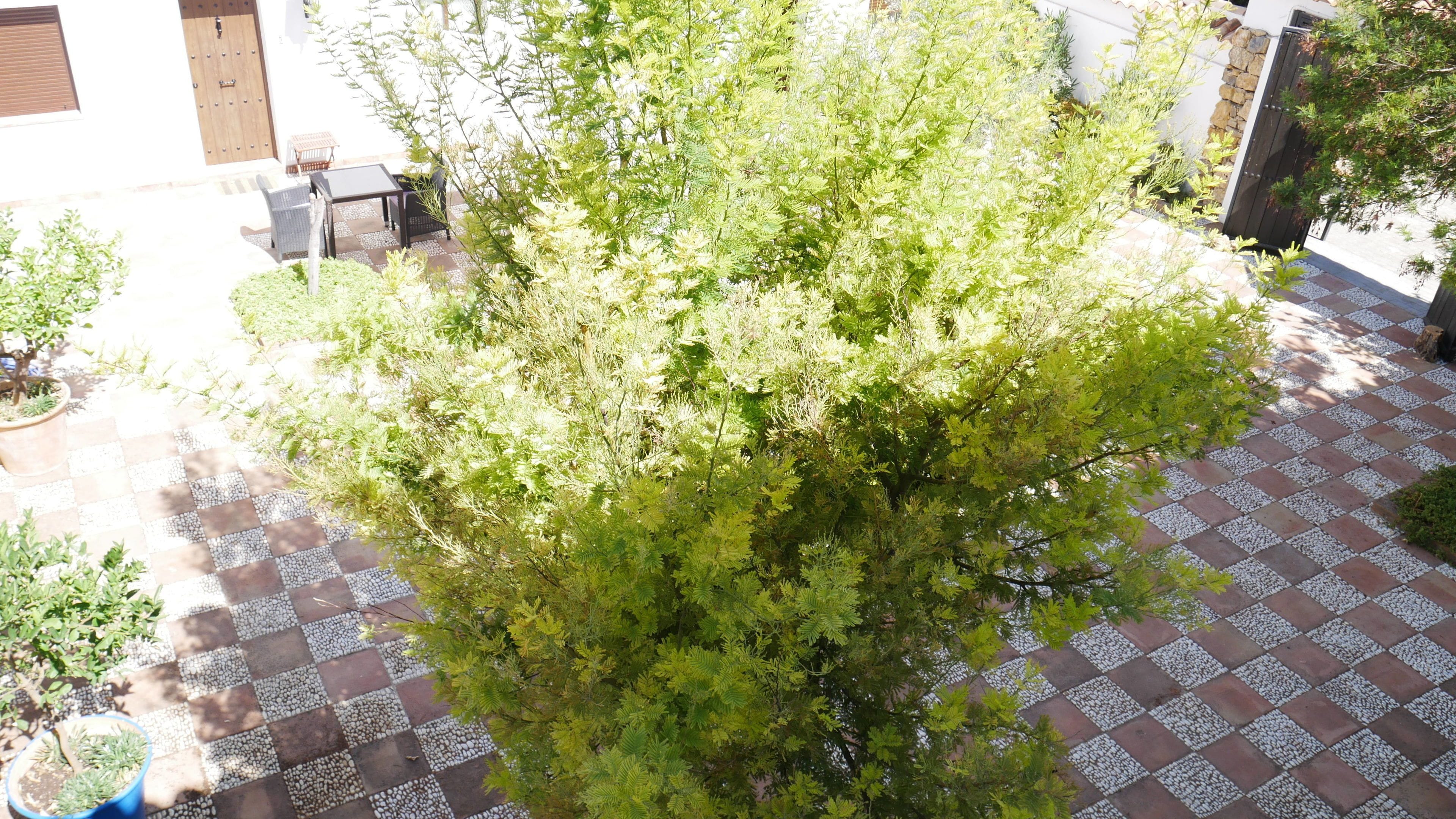 Photo - La Perla Blanca - Ronda