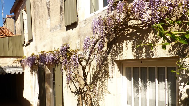 A narrow street with a building featuring a window with bars, a door, and a wall with a textured surface. - La Maison Douce (Saint-Martin-de-Re)