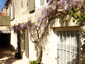 A narrow street with a building featuring a window with bars, a door, and a wall with a textured surface. - La Maison Douce (Saint-Martin-de-Re)