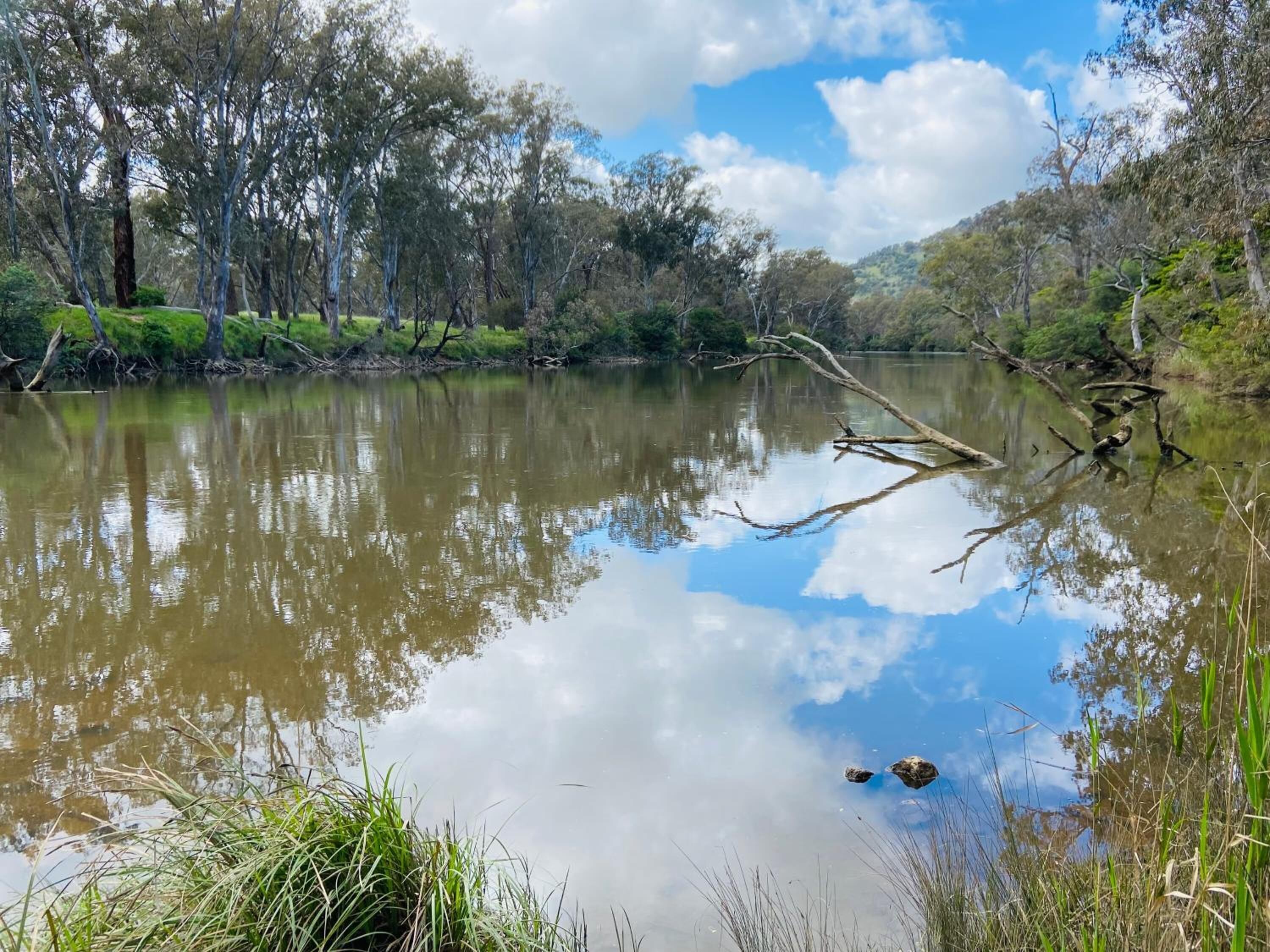 Un río tranquilo con reflejos de árboles y cielo, rodeado de orillas cubiertas de hierba y un árbol caído.