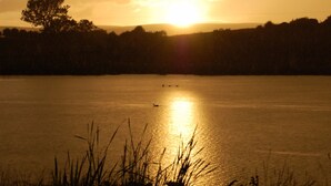Lac