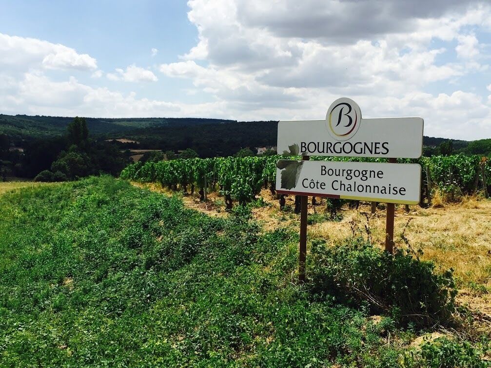 A vineyard with a sign that reads "BOURGOGNES Bourgogne Côte Chalonnaise."