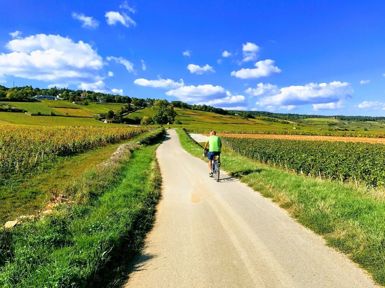 A rural road flanked by fields and a cyclist in a green shirt.