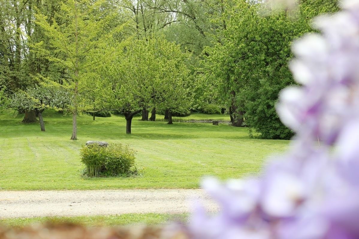 Un parc avec de l’herbe verte, des arbres et un sentier de gravier.