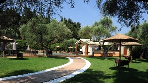 Property grounds - Eleas Gi (Zakynthos)