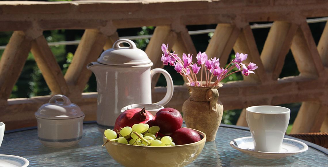 studio, garden view | terrace/patio
