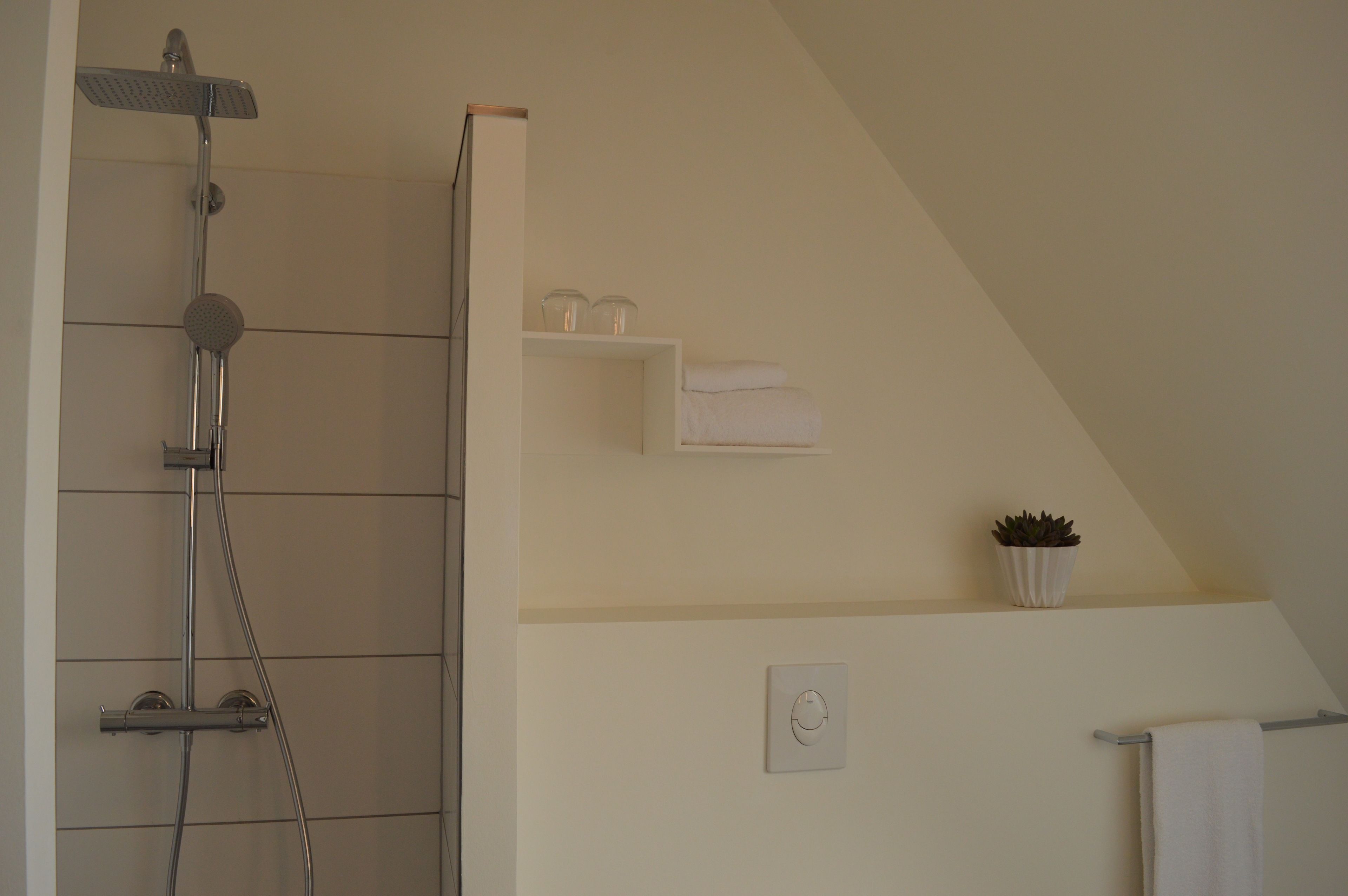 Een badkamer met een douche, handdoekhouder, een plank met handdoeken en een potplant.