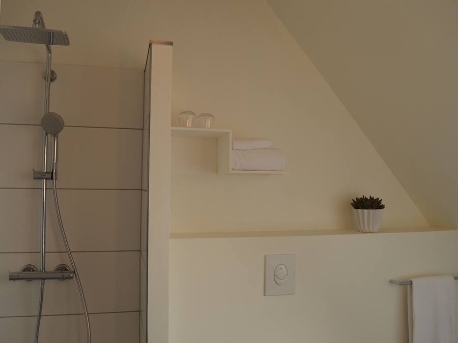 Een badkamer met een douche, handdoekhouder, een plank met handdoeken en een potplant.