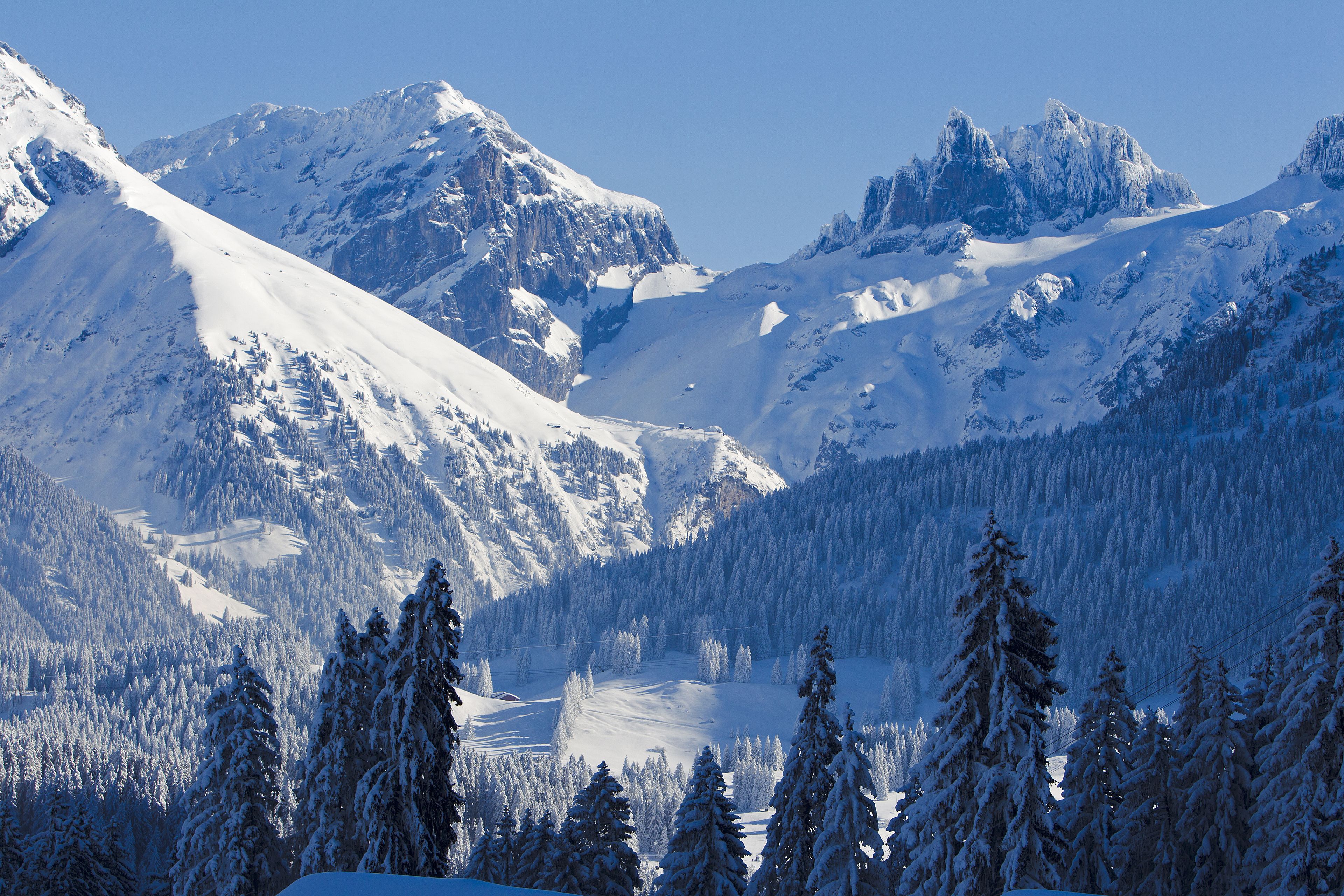 Foto - GRAND your home with common kitchens with self check-in