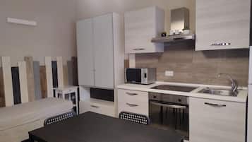 Basic Apartment, 1 Bedroom | Private kitchen | Fridge, microwave, oven, stovetop