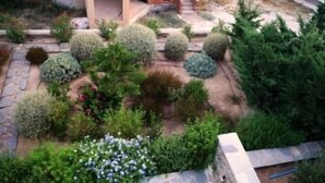 Un jardín con diversos arbustos y plantas, un sendero de piedra y una estructura de pérgola de madera.