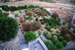 Property grounds - Villa Jason (Paros)