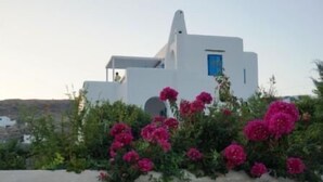 Un edificio blanco con una puerta azul, rodeado de flores rosas y follaje verde.