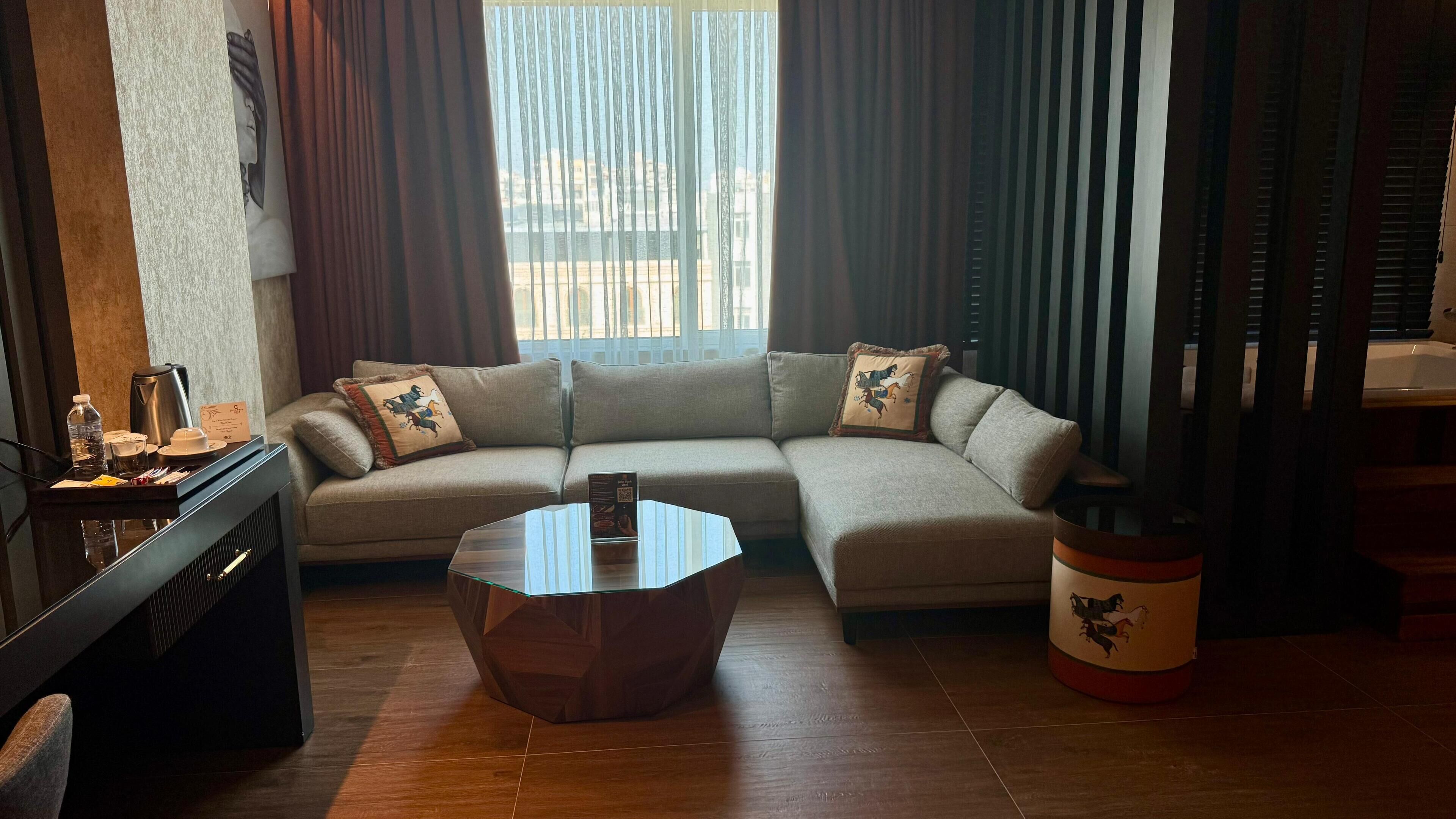 deluxe studio suite | view from room