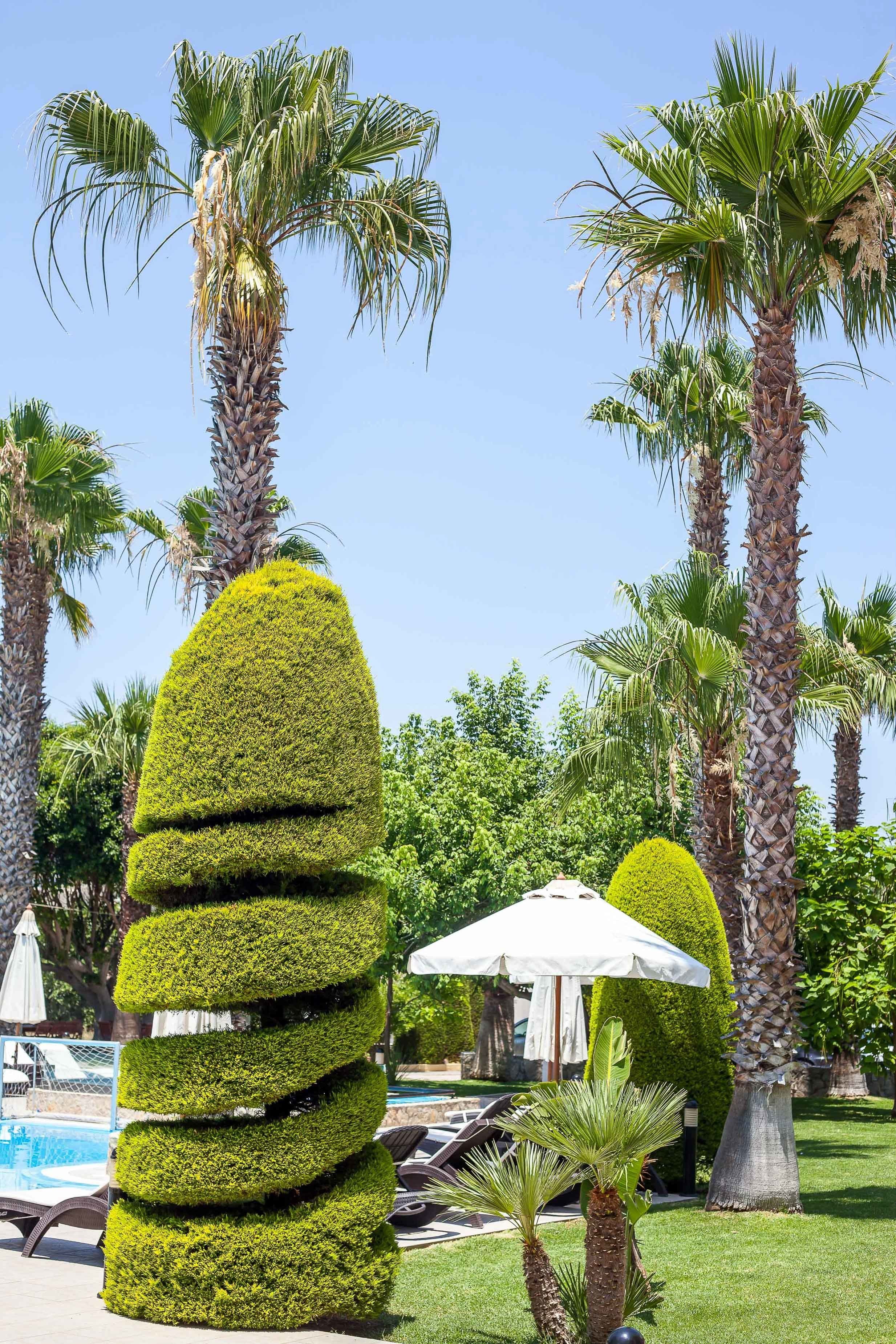 A well-maintained garden with neatly trimmed topiary trees and palm trees, a pool area with lounge chairs, and umbrellas.