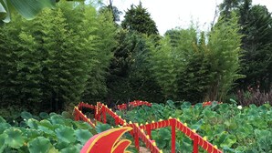 A pathway with red and yellow railings through a garden with large green leaves and a dirt path. - Annie's Escape in Warburton (Warburton)