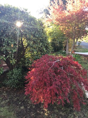 Exterior - Annie's Escape in Warburton (Warburton)