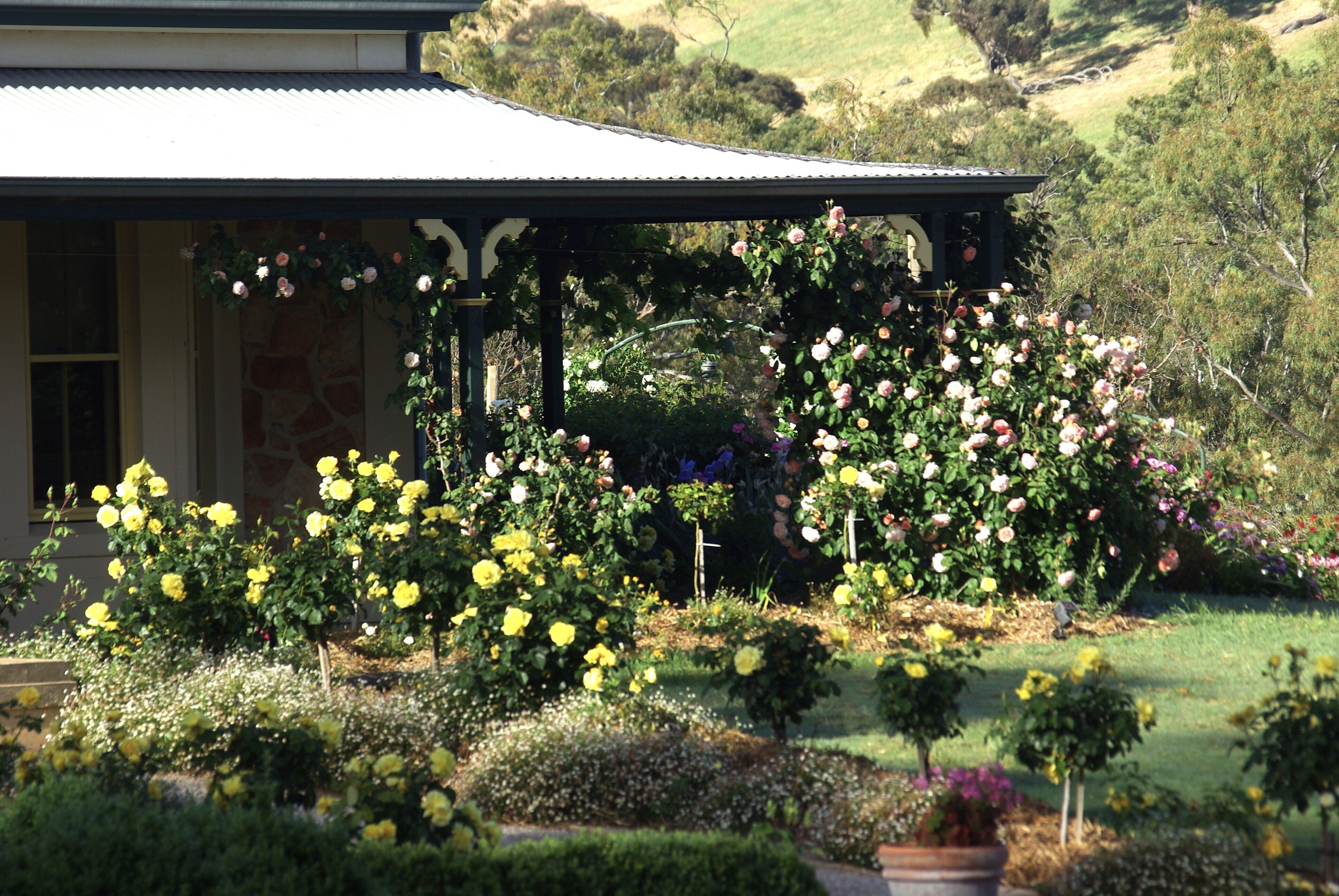 Cottage phong cách cổ điển | Ngoại thất