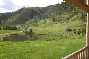 Luxury Cabin, 2 Bedrooms, Kitchen (Ponderosa) | View from room