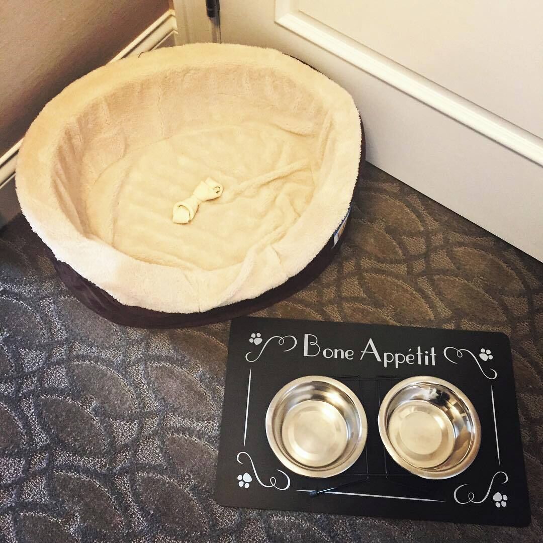 premium bedding, pillow-top beds, in-room safe, desk