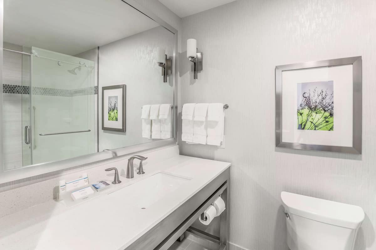 combined shower/bathtub, free toiletries, towels