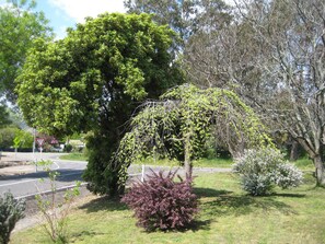 Garden - Nathan's Place (Whitfield)