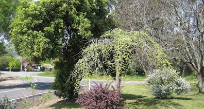 Nathan's Place