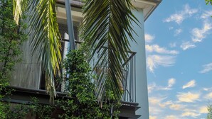 A modern building with a balcony, surrounded by lush greenery and a clear sky. - Harpers House (Cape Town)