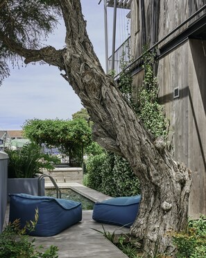 Outdoor pool - Harpers House (Cape Town)